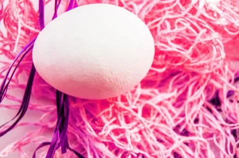 Easter concept, white egg on neon pink background, woven fabric nest, top vie Stock Photos