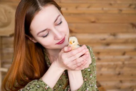 Easter concept. Young red haired girl holding cute little chicken Stock Photos