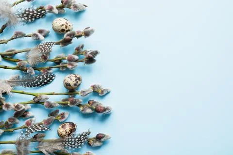 Easter creative frame of willow branch on blue background. Copy space, top .. Stock Photos