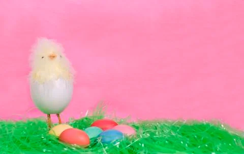 Easter cute chick and eggs Stock Photos