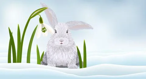 Easter cute rabbit and snowdrops on snow background vector illustration Stockillustratie