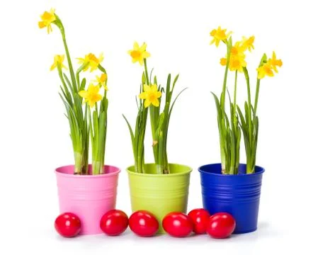 Easter with daffodils and painted eggs Stock Photos