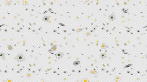 Easter daisy flower loop tile falling with alpha. This 3d animation with Stock Footage 263733277
