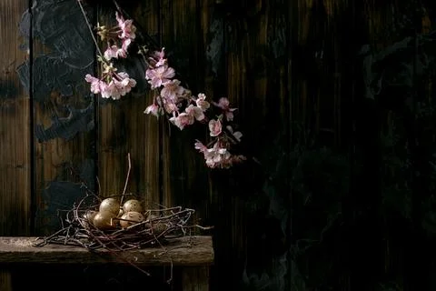 Easter dark rustic still life with blooming branch Stock Photos