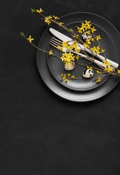 Easter dark table setting with quail eggs and yellow forsythia flowers  Stock Photos