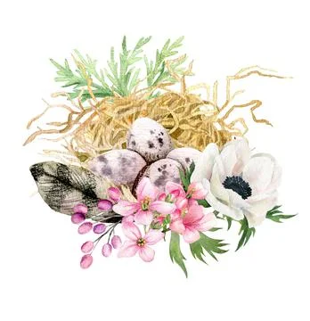 Easter decor, bird eggs with hay and flowers, hand drawn Stock Illustration