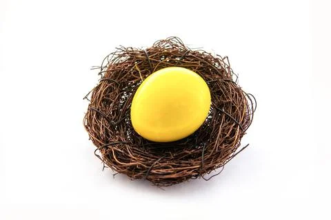 Easter decor bright yellow egg in brown nest made of twigs on isolated backgr Stock Photos