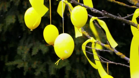 Easter decor. Yellow Easter eggs hanging on branches of tree in spring garden. Stock Footage 235689733