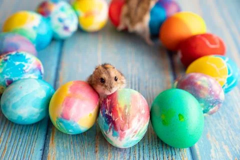 Easter decorated eggs and mouse.  on turquoise wooden background Stock Photos