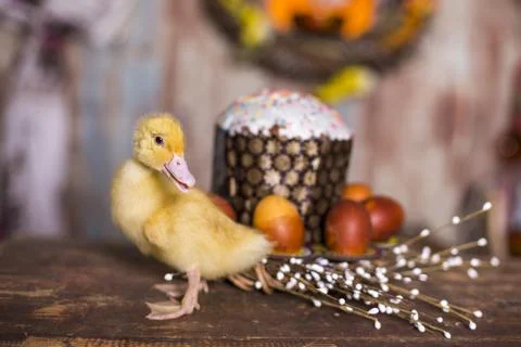 Easter decorated interior with colorfull eggs and ducklings Stock Photos