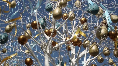 Easter decorated tree Stock Footage 98482608