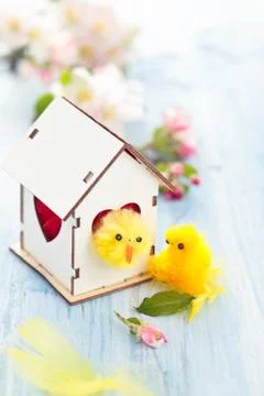 Easter decoration with apple blossom. Stock Photos