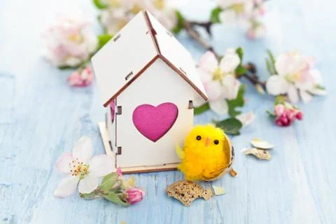 Easter decoration with apple blossom. Stock Photos