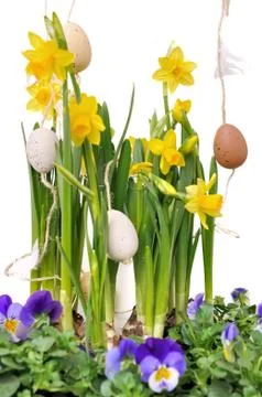Easter decoration in daffodils Stock Photos