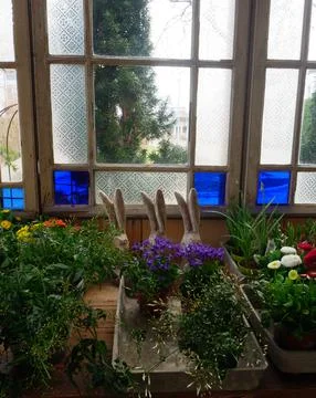 Easter decoration display in a rustic greenhouse with ceramic rabbits, bloo.. Fotos Stock