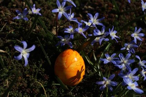 Easter decoration with an easter egg and glory of the snow Foto stock