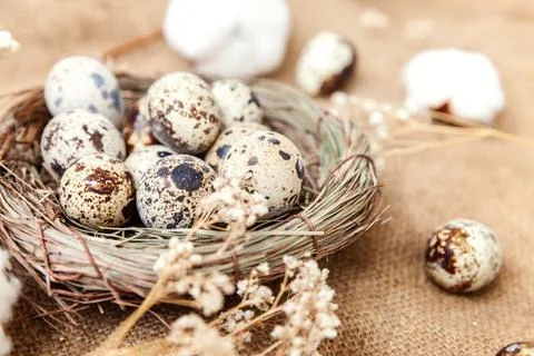 Easter decoration with egg in nest and cotton on white marble background Stock Photos
