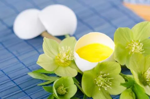 Easter decoration with egg shell hellebore flower and pollen Stock Photos