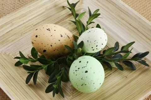 Easter decoration - eggs with boxwood Stock Photos