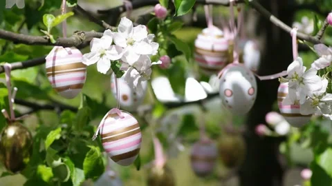 Easter decoration eggs in the garden outdoor Video stock 166317113
