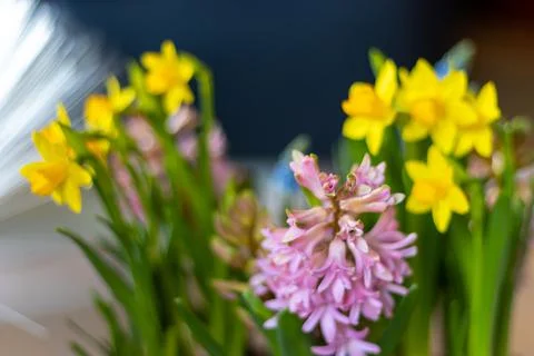 Easter decoration flowers Stock Photos