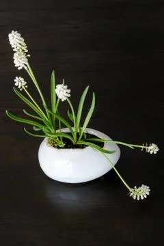 Easter decoration Stock Photos