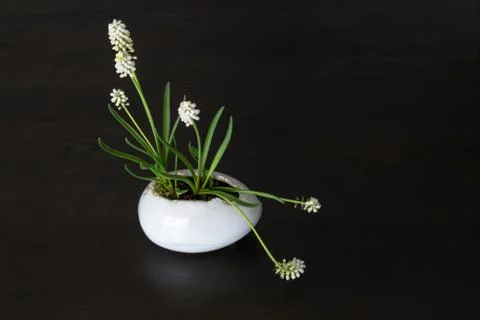 Easter decoration Stock Photos