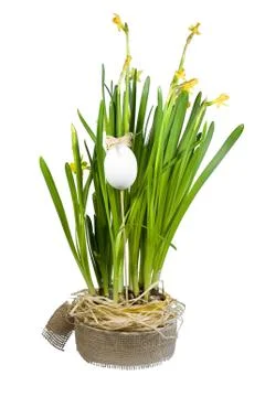 Easter decoration Stock Photos