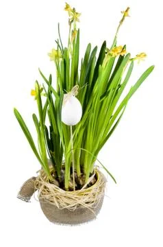 Easter decoration Stock Photos
