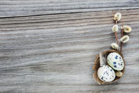 Easter decoration Stock Photos