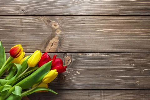 Easter decoration. Stock Photos