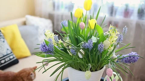 Easter decoration. Pot with spring flowers and eggs with bunny at home. Stock Footage 150395293