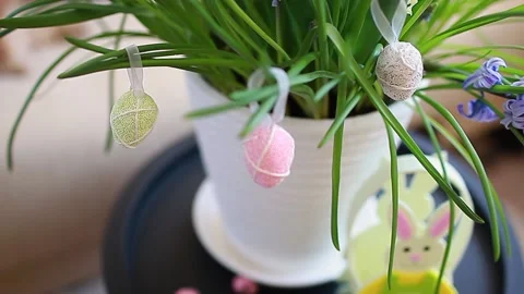 Easter decoration. Pot with spring flowers and eggs with bunny at home. Stock Footage 150395349