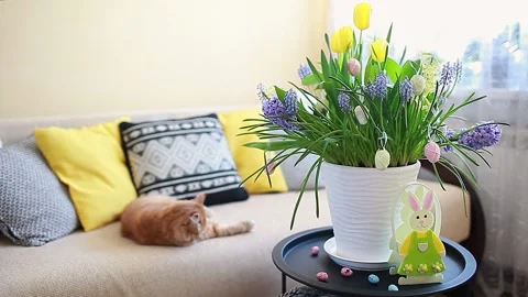Easter decoration. Pot with spring flowers and eggs with bunny at home. Stock Footage 150395384