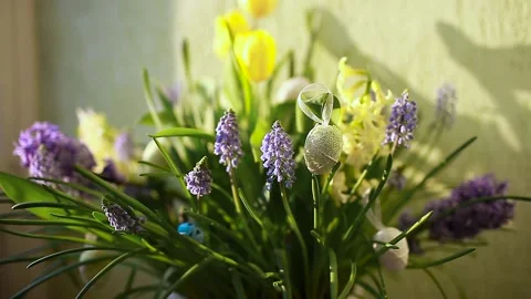 Easter decoration. Pot with spring flowers and eggs shaking on wind at home. Stock Footage 151043793