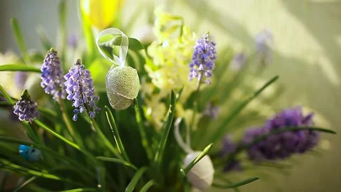 Easter decoration. Pot with spring flowers and eggs shaking on wind at home. Stock Footage 151043856