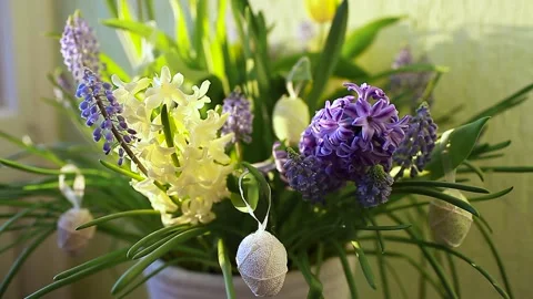Easter decoration. Pot with spring flowers and eggs shaking on wind at home. Stock Footage 151043968