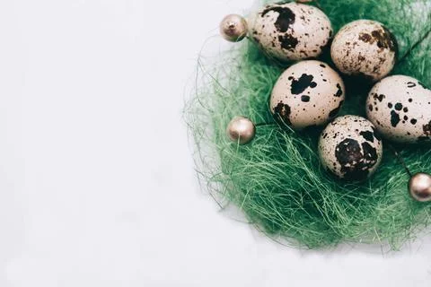 Easter decoration of quail eggs Stock Photos