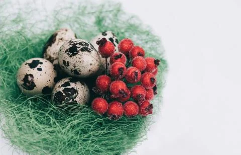 Easter decoration of quail eggs Stock Photos