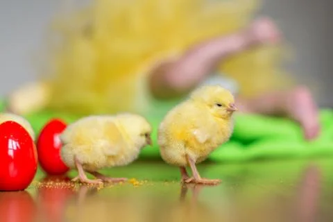 Easter decoration with red eggs and chicks Stock Photos