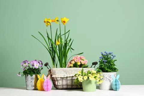 Easter decoration with spring flowers Stock Photos