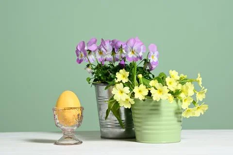 Easter decoration with spring flowers Foto stock