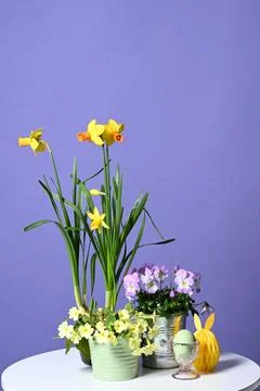 Easter decoration with spring flowers Stock Photos