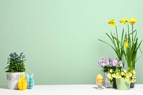 Easter decoration with spring flowers Stock Photos