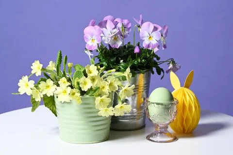 Easter decoration with spring flowers Stock Photos
