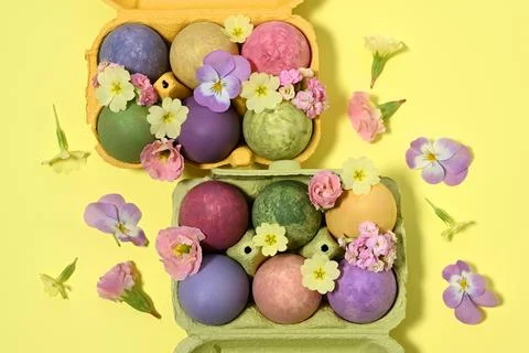 Easter decoration withcolored eggs Foto stock