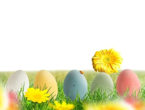 Easter decorations with colored eggs on meadow with flowers Stock Photos