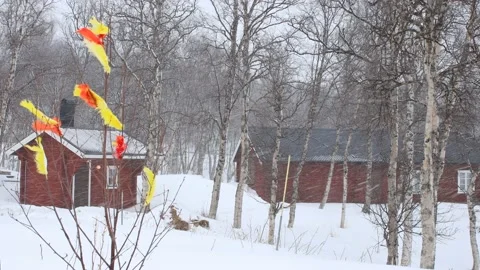 Easter decorations in a winter farm landscape Stock Footage 238520305