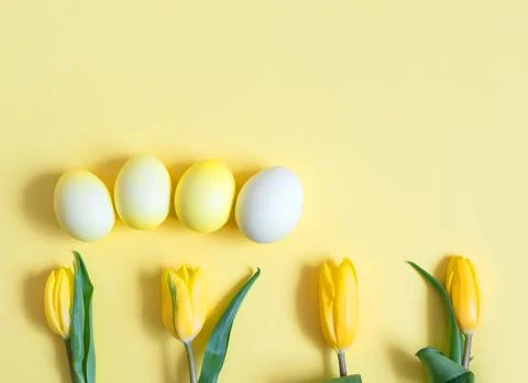 Easter decorations with yellow eggs and tulip flowers on a yellow background. Stock Photos
