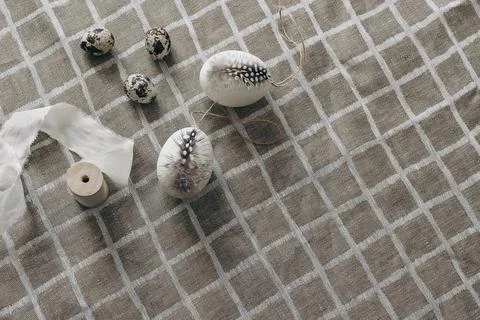 Easter decorative composition. Spring still life with natural quail and hen eggs 스톡 사진